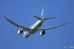 「良い空～」 ANA 787-8 JA829A 離陸