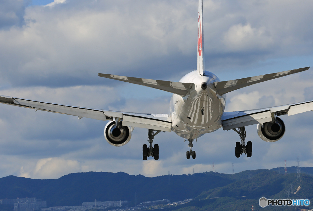 ☮ Senrigawaのやめられない・ゼブラゾーン  ☮