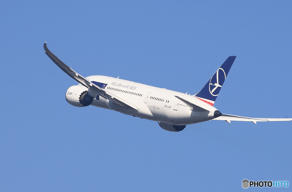 「あおいそら」LOT ポーランド787-8 SP-LRF  Takeoff 