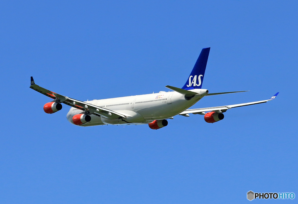 「真青の空」 SAS A340-313 OY-KBD 飛ぶ
