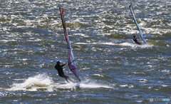 「淡い海」スピード感が大切ですね  (1)