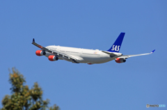 「青い空」が一番SAS A340-313 LN-RKF 飛ぶ