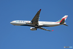 「青が大好き」SriLankan A330-343 4R-ALL Takeoff
