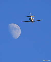 [青い空]　ダッソウファルコン９００EX 月へ飛行