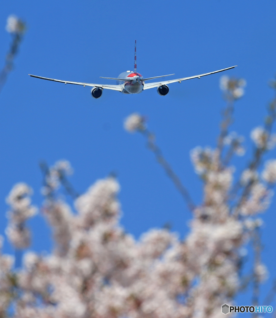「青空」 American 777-200 Takeoff