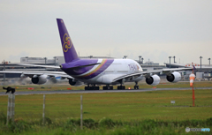 「☁」 THAI A380-841 HS-TUB Takeoff