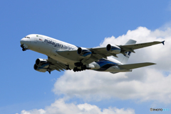 ☀「青い空」が一番 Mlaysia A380-841 9M-MNE飛ぶ