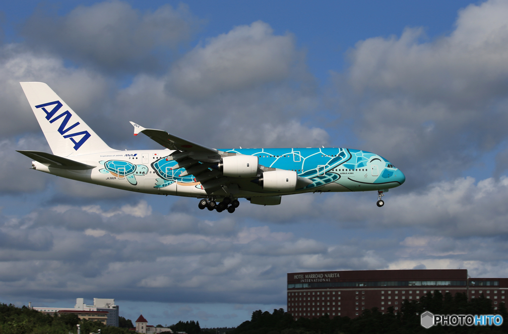 「青が好き」 ANA A380-841 「Flying Honu２」着陸