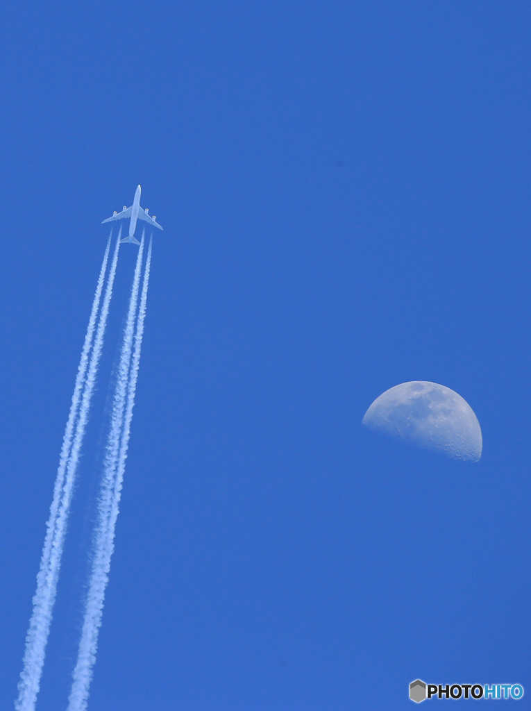 ☮休憩ﾀｲﾑ (815)   月  と ジャンボ機（10,000m)