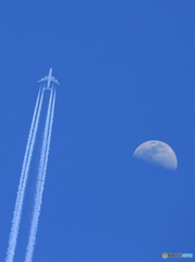 ☮休憩ﾀｲﾑ (815)   月  と ジャンボ機（10,000m)