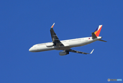 「そらー」Phlippiens A321-231 RP-C9912到着