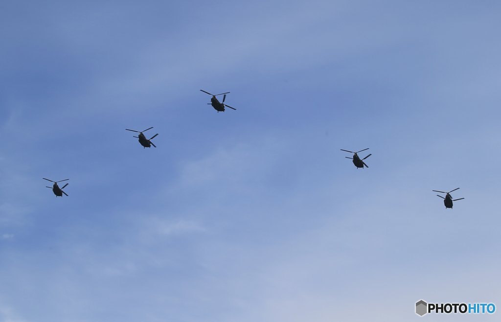 「青空」デルタ飛行　 陸上自衛隊　JGSDF ヘリコプター　チヌークx5