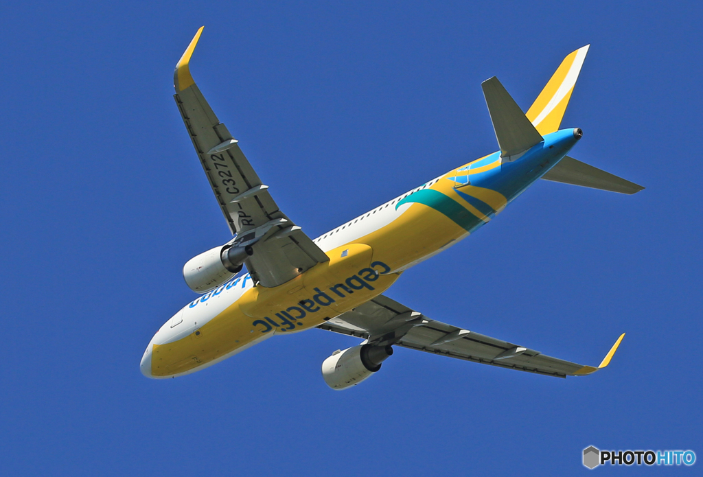 「青が大好き」 CEBU A320-214 RP-C3272 飛び立ち