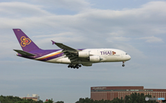 [青い空]　THAI A380-841 HS-TUA Landing