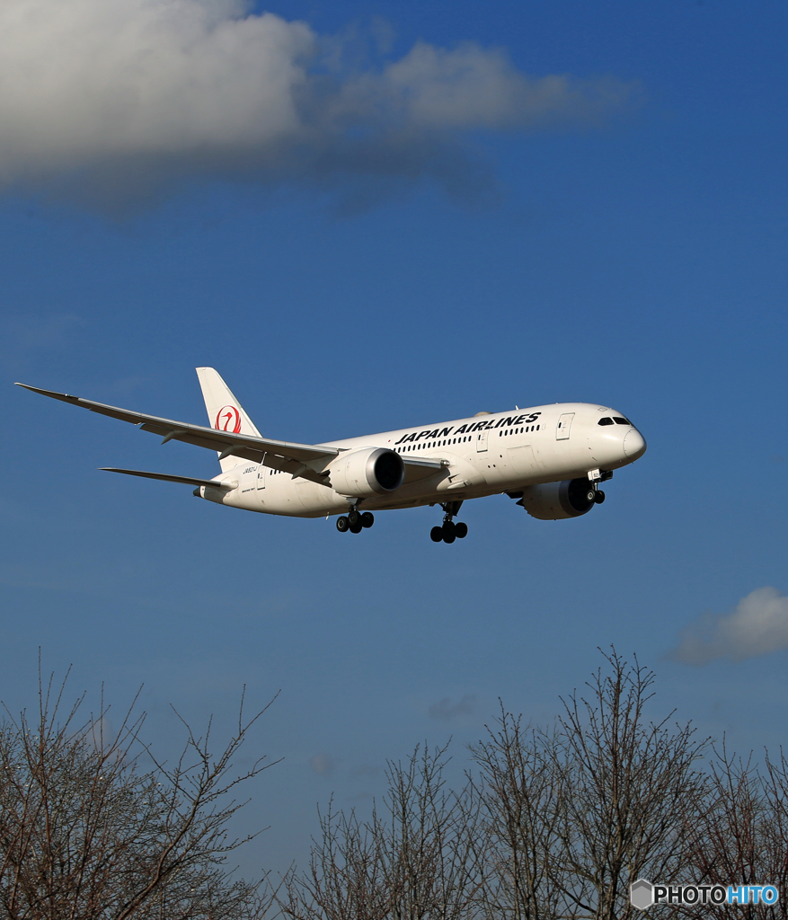 「晴れ」 JAL 787-8 JA821J 到着