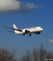 「晴れ」 JAL 787-8 JA821J 到着