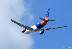 「青が好き」 Air Calin A330-202 F-OHSD Takeoff