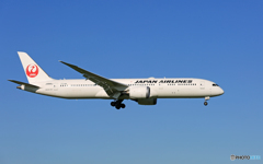 「はれ」 JAL 787-9 JA866J 到着です