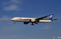 「青い日」ANA 777-381 JA780A  Landing