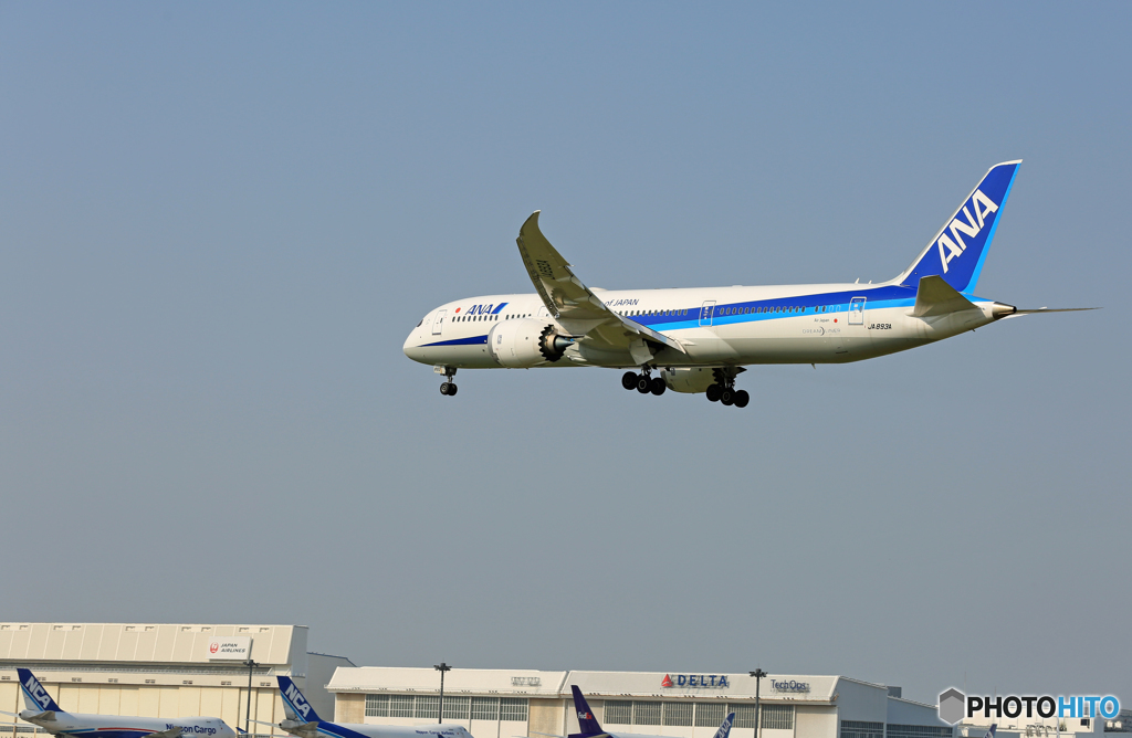 「青色が好き」  ANA 787-9 JA893A 着陸します