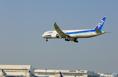 「青色が好き」  ANA 787-9 JA893A 着陸します