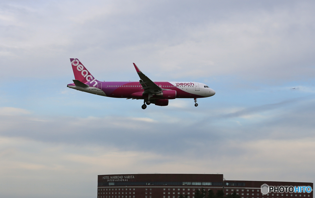 「青い日」 バニラがピーチ色になりました Landing