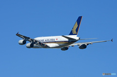 「青が大好き」☀ Singapore A380-841 9V-SKK出発です