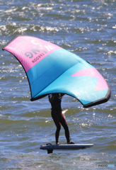 「青い海」風を切るのだぁ〜