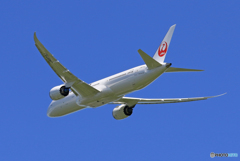 「良い空～」 JAL 787-9 JA873J 離陸