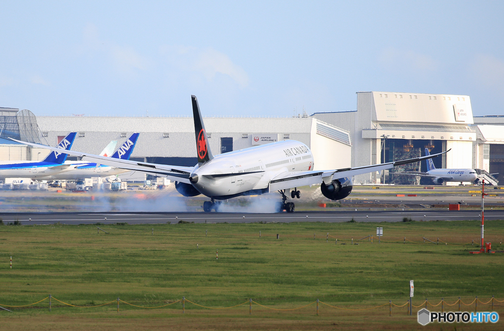 「スカイ」 Air Canada 787-9 C-FRTW 到着です