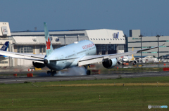 「青い空」が一番 AIR CANADA 787  Landing