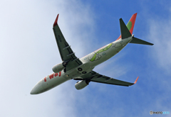 [青い空]　t'way 737-8Q8 HL8294