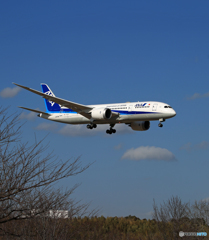 「あおぞら」  ANA 787-8 JA878A 到着