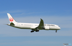 「青空」 JAL 787-9 JA868J 到着です