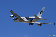 「Blue」 malaysia A380-841 9M-MNB Takeoff