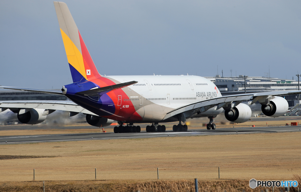 「群青」 ASIANA A380-841 HL7626  Takeoff 