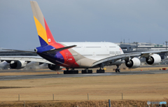 「群青」 ASIANA A380-841 HL7626  Takeoff 