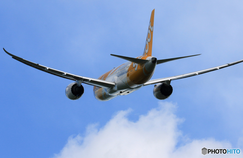 ☀「青い空」が一番 Scoot 787-8 9V-OFC 飛ぶ