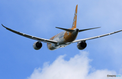 ☀「青い空」が一番 Scoot 787-8 9V-OFC 飛ぶ