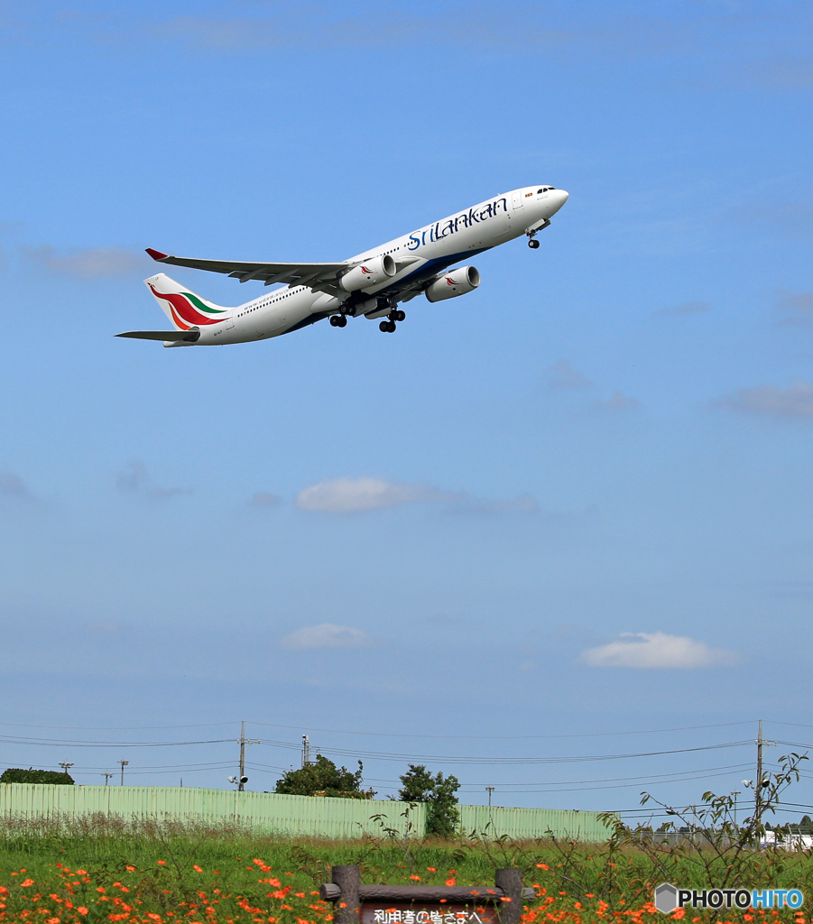 「青が好き」 SriLankan A330-343 4R-ALP 出発