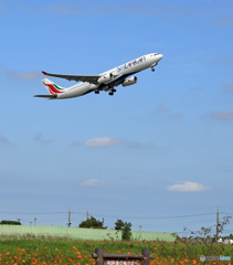 「青が好き」 SriLankan A330-343 4R-ALP 出発