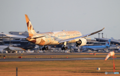 ☀「あおぞら」 ETIHAD 特別塗装787-9 A6-BLN