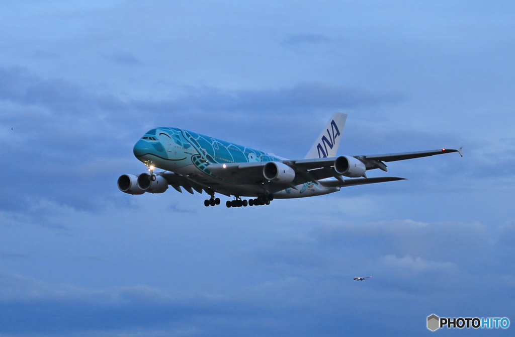 「スカイ」 Flying Honu A380-841 到着