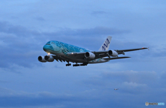 「スカイ」 Flying Honu A380-841 到着