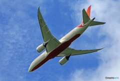 「青色が好き」 Air India 787-8 VT-ANA Takeoff