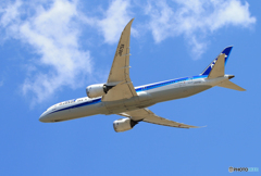 「Blue」 ANA 787-9 JA875A Takeoff