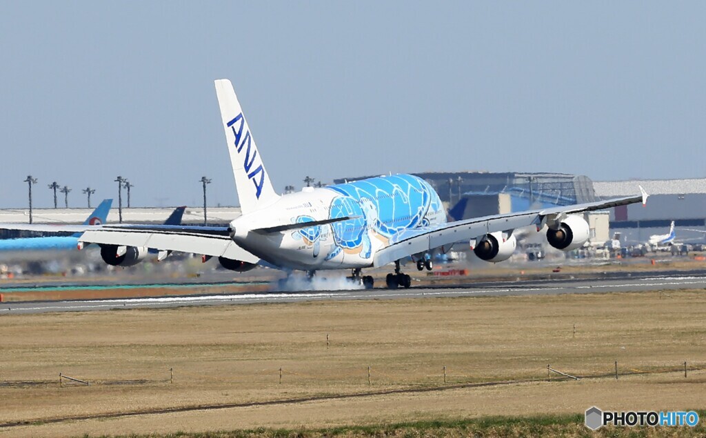 「蒼空」 ANA Flying Honu JA381A 着地