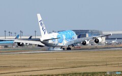 「蒼空」 ANA Flying Honu JA381A 着地