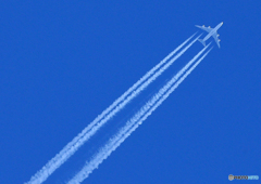 ✈「Blue」１万ｍ 上空の飛行機雲 ・ A380エアバス ✈