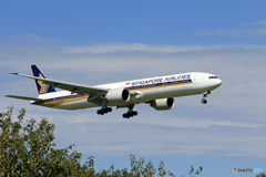 [青い空] Singapore 787-10 9V-SWW 着地前